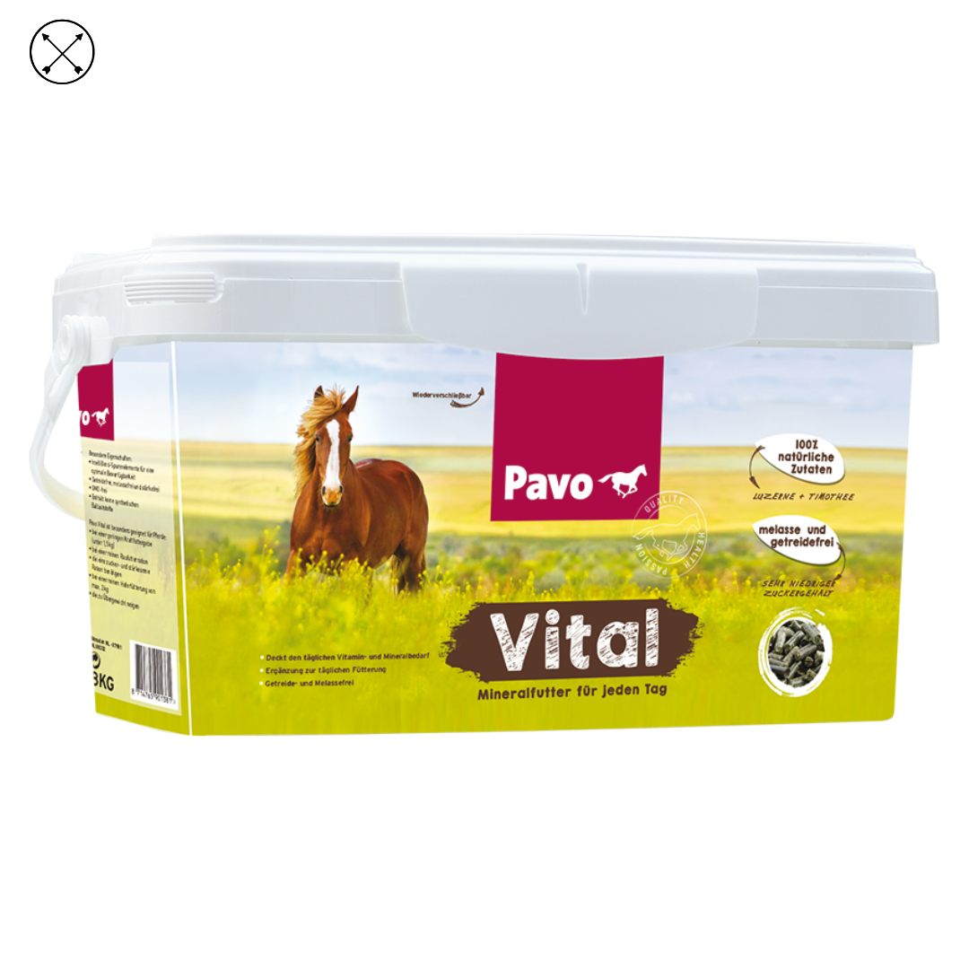 VITAL PAVO