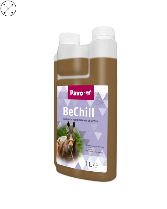 Pavo BeChill – suplemento calmante natural para caballos nerviosos o estresados