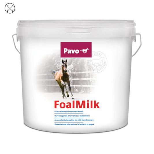 Pavo Foal Milk – leche maternizada para potros recién nacidos sin acceso a leche materna
