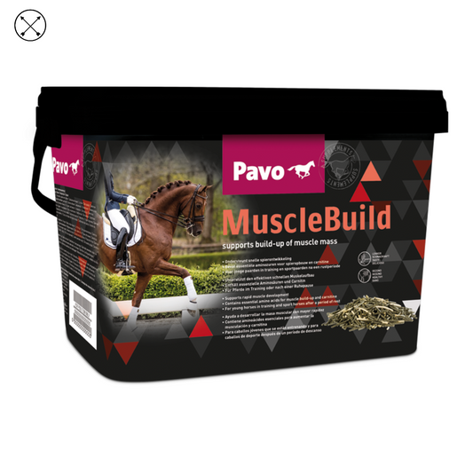Pavo Muscle Build – suplemento para desarrollo muscular en caballos de deporte o recuperación