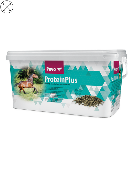 "Pavo Protein Plus – suplemento rico en proteína para el desarrollo muscular del caballo"