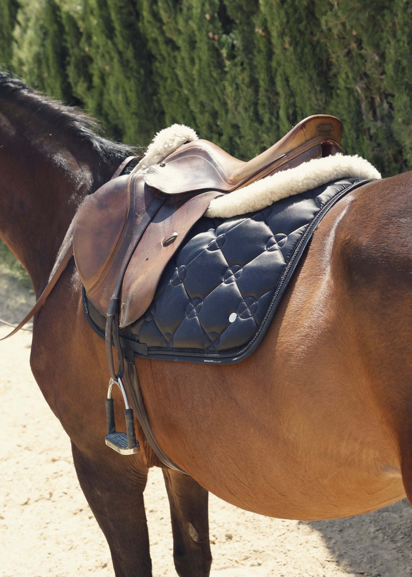 X-Black – Jumping Saddle Pad