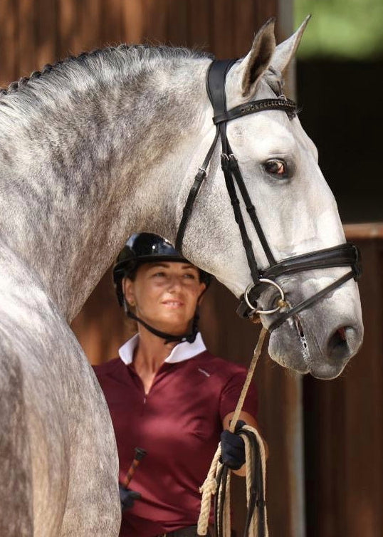 Apolo Burgundy – Competition Base Layer